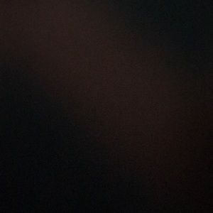 Meet your Posher, Shellby